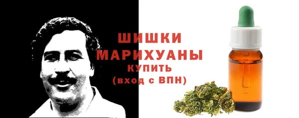 дмт Козельск