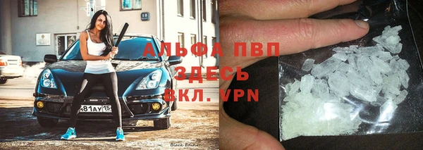 бошки Богданович