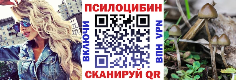 наркота  Дудинка  Галлюциногенные грибы мицелий 